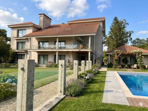 Propuesta de reforma (imagen generada por IA)