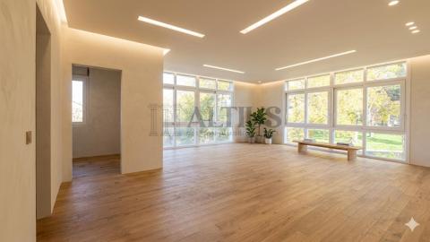 Propuesta de reforma (imagen generada por IA)